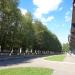 Аллея в городе Череповец