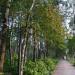 Губернский парк в городе Калуга