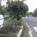 Ekanki Enclave Plots in Greater Noida city