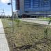 Аллея Уральского садоводчества в городе Екатеринбург