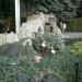 Цветочная клумба с водопадом в городе Кременчуг