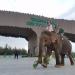 FLC Safari Zoo Quy Nhơn trong Thành phố Quy Nhơn thành phố