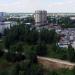 Лесопарк в городе Старая Купавна