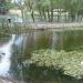 Озеро в городе Самара