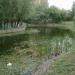Озеро в городе Самара