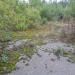 Заброшенный фундамент в городе Череповец
