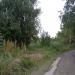 Пустырь в городе Череповец