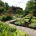 Herb Garden in Stockholm city