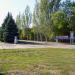 Клумба в городе Константиновка