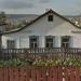 Целинная ул., 13 в городе Октябрьский