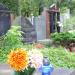 The grave of Jadwiga Turek in Warsaw city