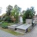 Uschnięte drzewo (pl) in Warsaw city