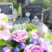 The grave of Mackiewicz family in Warsaw city
