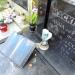 The grave of Mackiewicz family in Warsaw city