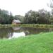 Staw in Radom city