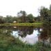 Staw in Radom city