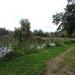Staw in Radom city