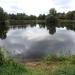 Staw in Radom city