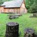 Tartak z Molend in Radom city