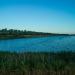 Pond