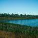 Pond