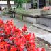 The grave of Jan Zaleski in Warsaw city