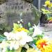The grace of Wawer family in Warsaw city
