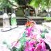 The grave of Kazimiera Ziemichód in Warsaw city
