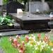 The grave of Jadwiga Hryniewiecka in Warsaw city