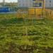 Остановка ул. Мира в городе Самара