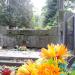 The grave of Stankiewicz family in Warsaw city