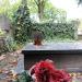 The grave of Stankiewicz family in Warsaw city