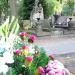 The grave of Widerski family in Warsaw city