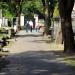 Brama V (pl) in Warsaw city
