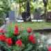 The grave of Rejman family in Warsaw city