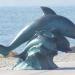 Скульптура «Дельфины на волне» в городе Новороссийск
