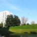 Staw wiekszy (pl) in Warsaw city