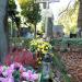 The Tomb of Witold Filler in Warsaw city