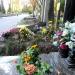 The Tomb of Witold Filler in Warsaw city
