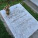 The grave of Stefan Tworkowski in Warsaw city