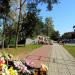 Stragany z kwiatami in Radom city