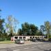Stragany z kwiatami in Radom city