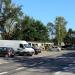Stragany z kwiatami in Radom city