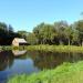 Staw in Radom city