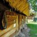 Obora in Radom city
