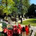 Cmentarz Lotników in Radom city