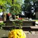 Cmentarz Lotników in Radom city