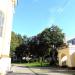 Teren przy parafii in Radom city