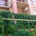 Гостевой дом «Божья коровка» в городе Судак