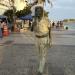 Estátua de Tom Jobim (pt) in Rio de Janeiro city